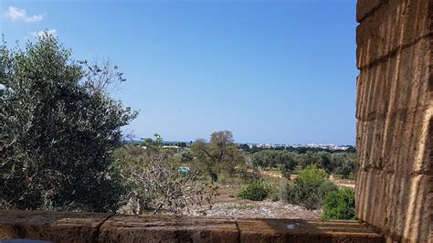 MASSERIA BORGO MONACI (Gallipoli) - Specialty Inn Reviews, Photos, Rate ...