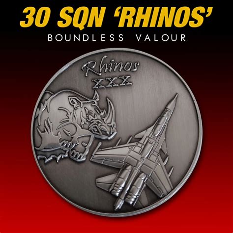 30 Sqn Rhinos Challenge Coin