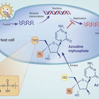 Azvudine Tablets 的图像结果