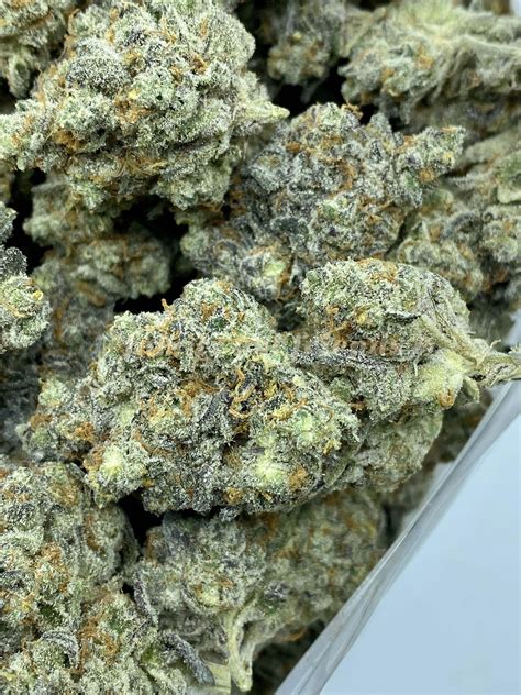 Buy Hidden Pastry Online - One Two Treez