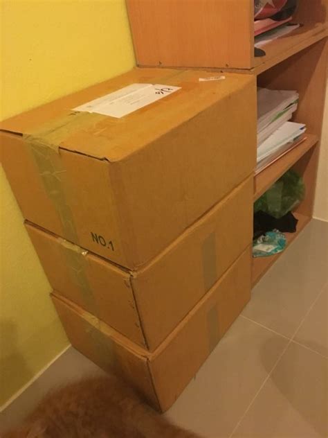 Cardboard Filing Cabinet 的图像结果