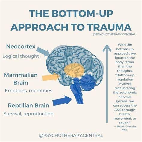 Image result for Trauma Brain Processing
