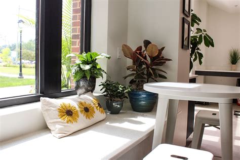 Interior Maintenance Portfolio • Cross Creek Nursery and Landscape