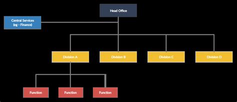 Multidivisional Structure 的图像结果