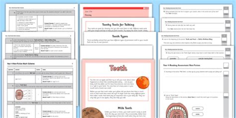 Year 4 Term 1 Non-Fiction Reading Assessment (teacher made)