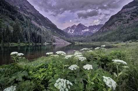 Greenery everywhere! Aspen Colorado. By Anne Strickland [2048 x 1365] : r/EarthPorn