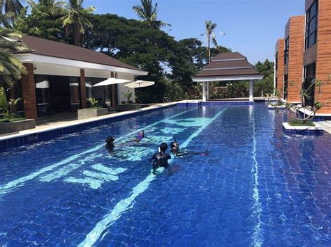 Pata Negra Divers (Panglao Island) - 2021 What to Know Before You Go ...