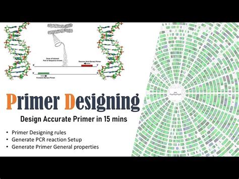 Image result for PCR Primer Design Software