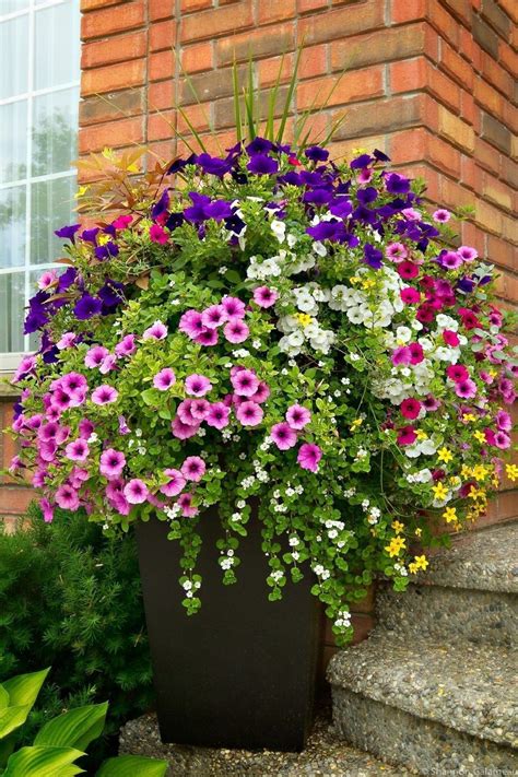 20+ Beautiful Summer Container Garden Flower Ideas | Garden containers ...