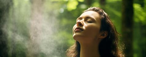 Discover the World of Scents: Unique Aromatherapy Blends with Sniffup ...