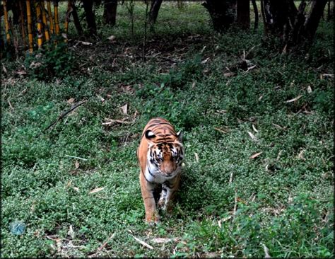 DSC_6169 – लेन्सच्या पलीकडचे जग