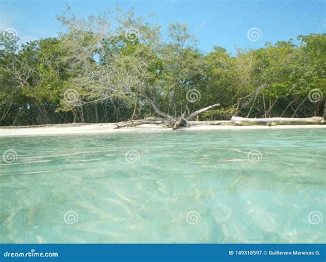 Parque Nacional Morrocoy - Venezuela Imagem de Stock - Imagem de ...