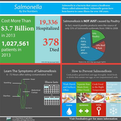 Does Cooking Kill Salmonella