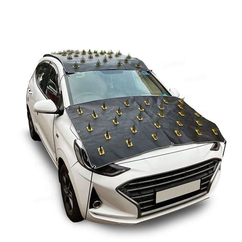CARMATE Car Protection Cover from Monkey and Dog for All Car : Amazon ...