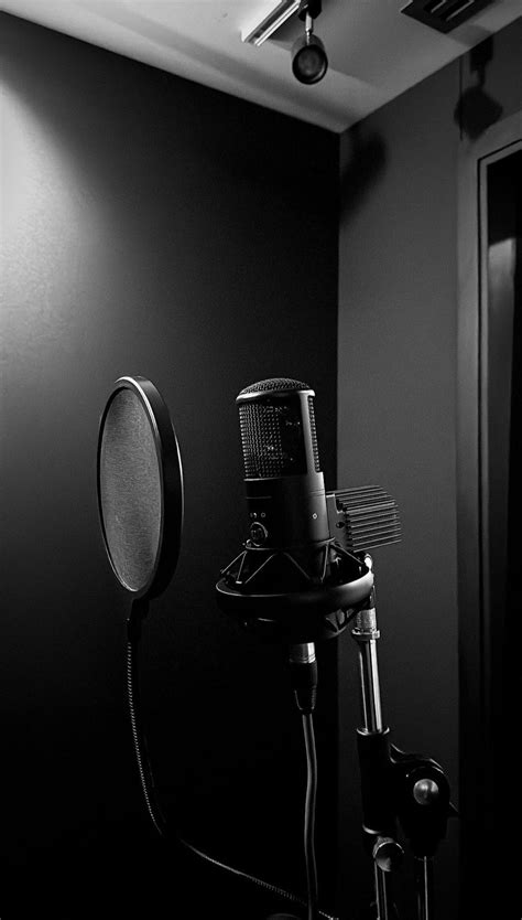 Professional Mic for Your Recording Studio