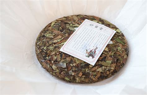 老白茶属于什么茶 老白茶和新白茶的区别-润元昌普洱茶网