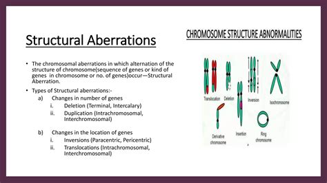 Deletion and Duplication of Chromosomes | PPTX