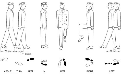 Image result for Contralateral March Exercise