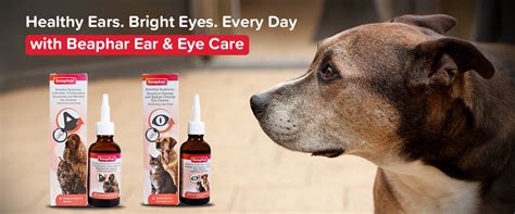 Beaphar Dog Ear and Eye Care Products – Complete Range