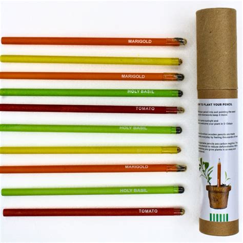 Seed Pencil (pack of 10 with Brown Tube) – Seed Paper India