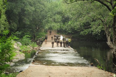 Polo Forest in Vijaynagar - Ticket Prices, Distance, Places to Visit ...