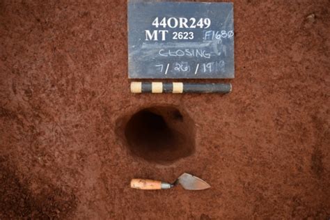 Image result for Tap Root Modifications