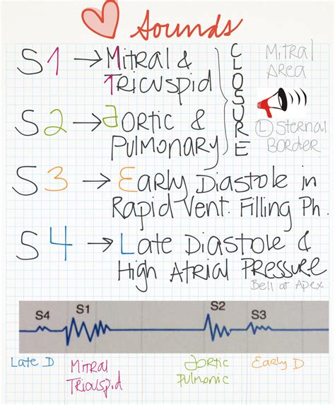Mnemonics For Heart Sounds