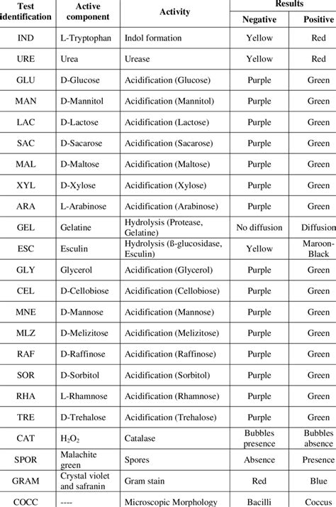 Image result for API Biochemical Test Kit