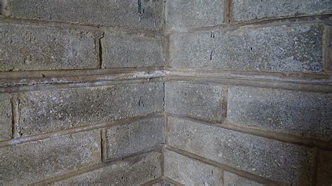 Image result for Damp Proof Course