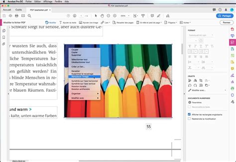 Modifier PDF 的图像结果
