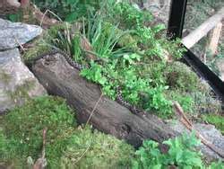 ZooLex Exhibit - Nature Experience Walk: In the Forest