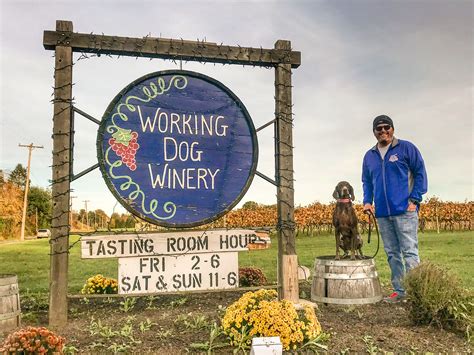 Working Dog Winery, Hair of the Dog 5k and Chesterfest Wine Festival ...