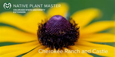 2025 NPM Wildflower Walk at Cherokee Ranch & Castle - May 15, 9:00-12 ...