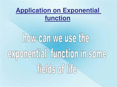 Exponential Function Application 的图像结果