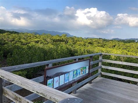 SAKISHIMASUONOKI GUNRAKU (2026) All You Need to Know BEFORE You Go ...