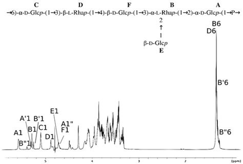 First Report on the Streptococcus gallolyticus (S. bovis Biotype I) DSM ...