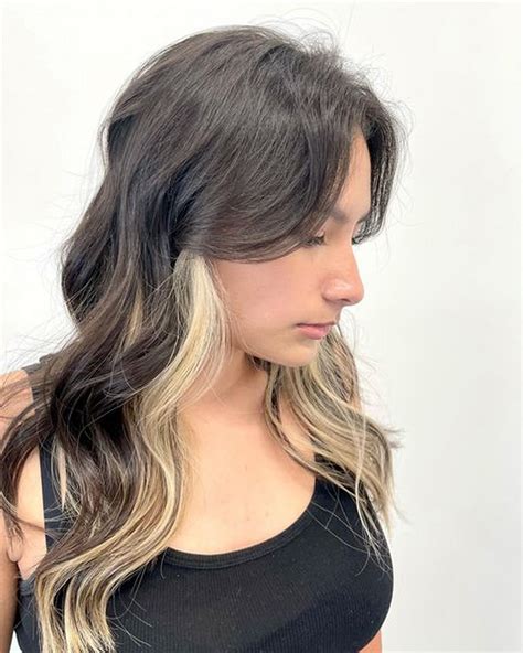 Brown Hair With Blonde Underlayer