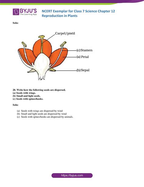 Image result for Class 7 Science Chapter 12 Exercise