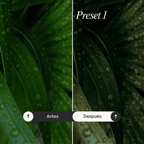 31+ Lightroom Nature Presets Pack