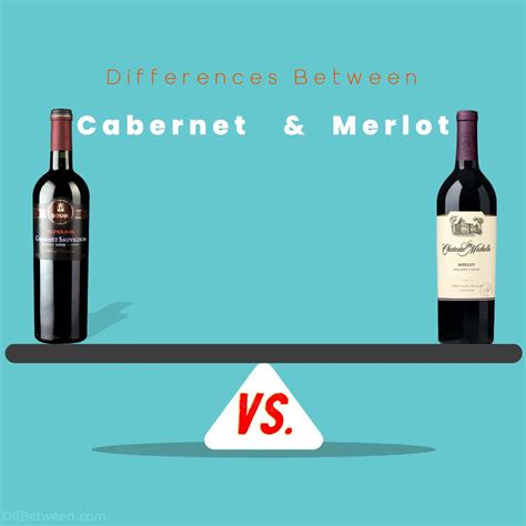 Cabernet vs Merlot: Unveiling Distinctive Wine Differences