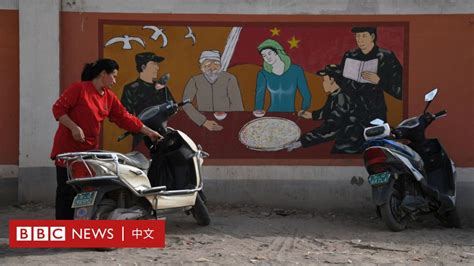 新疆再教育營性虐待維吾爾族婦女指控：中英就BBC報道強烈表態 - BBC News 中文