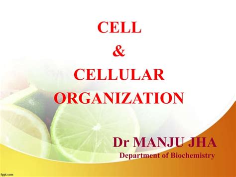 Image result for Cell Organization