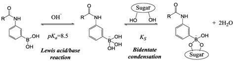 Swelling Properties of Hydrogels Containing Phenylboronic Acids