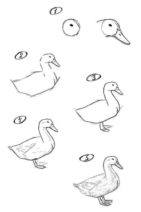 Image result for Simple Duck Drawing