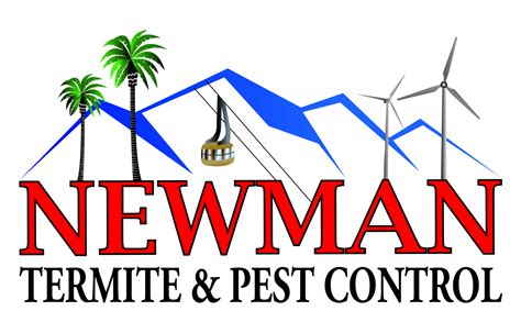 Social Behaviors of Termites: An In-Depth Understanding