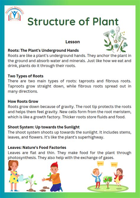 Image result for Grade 3 Science Class