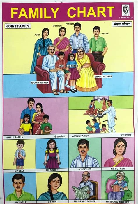 Buy Atish Creatives Children Wall Chart of Domestic Animals AE ...