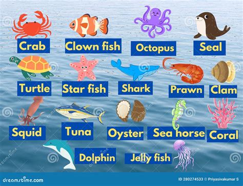 Sea Animals Names