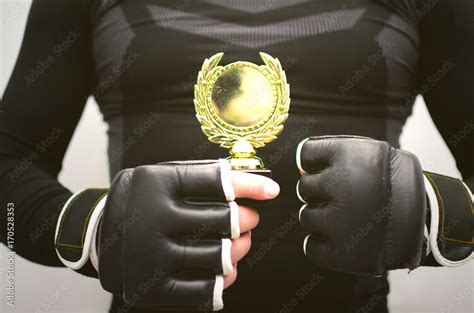 Boxing Winner 的图像结果