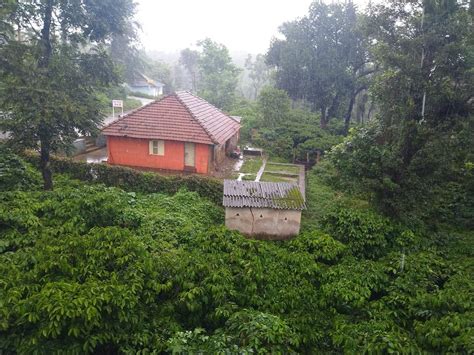 LA FLORA SAFARI INN RESORT (Nagarhole National Park, Karnataka ...